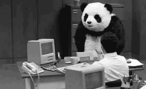 "Panda angrily throws everything on the desk onto the floor."